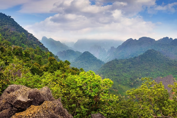 Mountain Crest